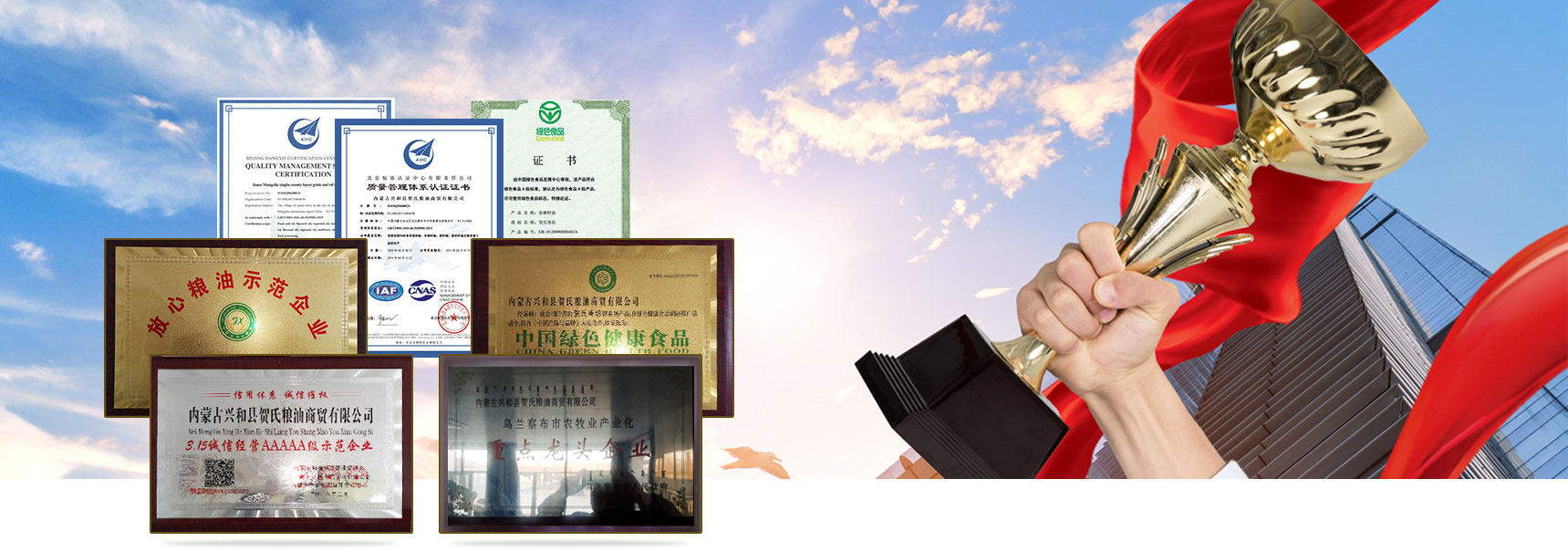 榮譽(yù)資質(zhì)